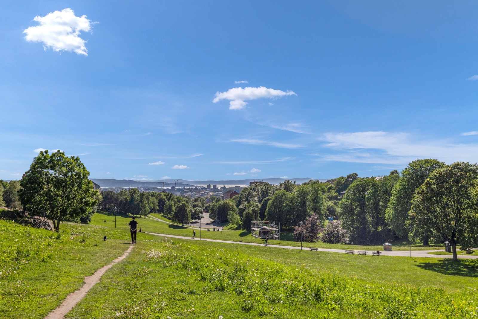 Nærområde Galleribilde