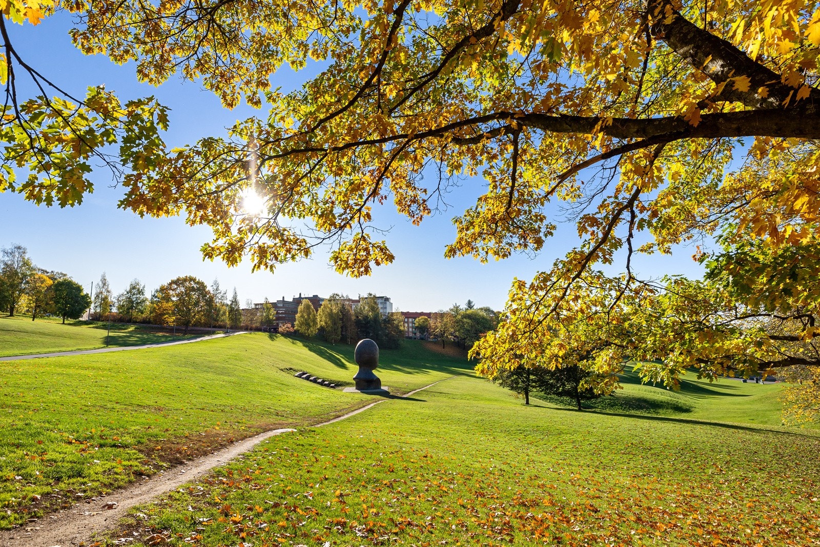Nærområde Galleribilde