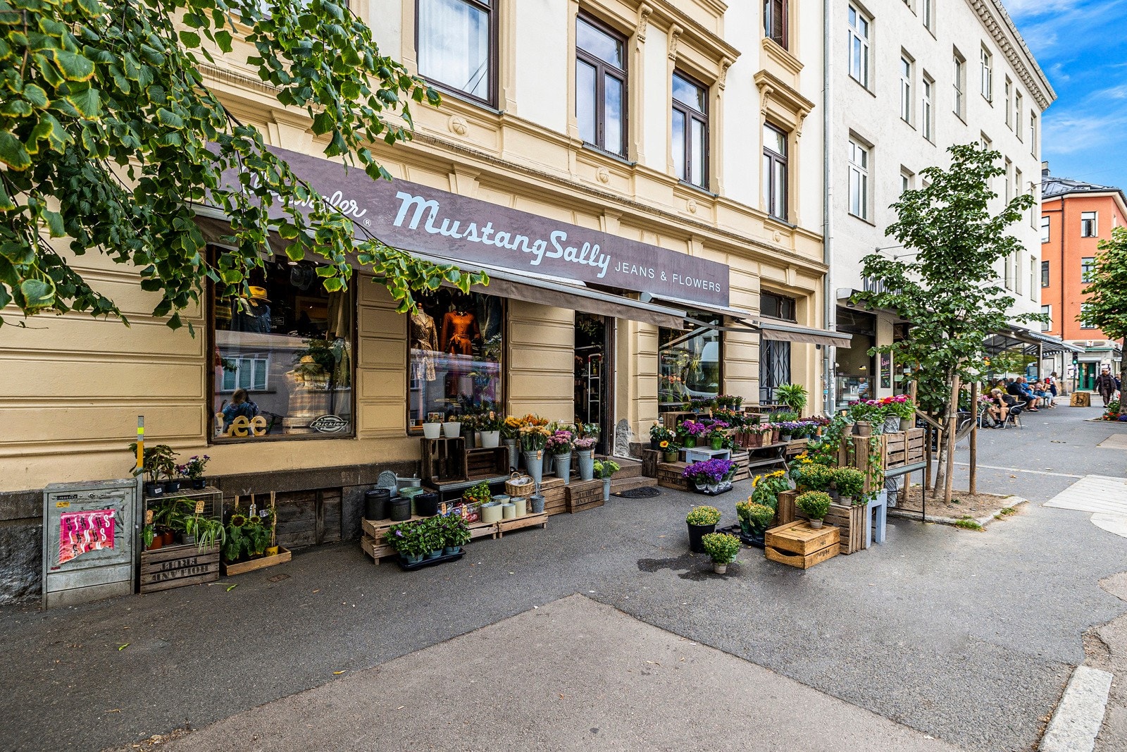 Nærområde Galleribilde