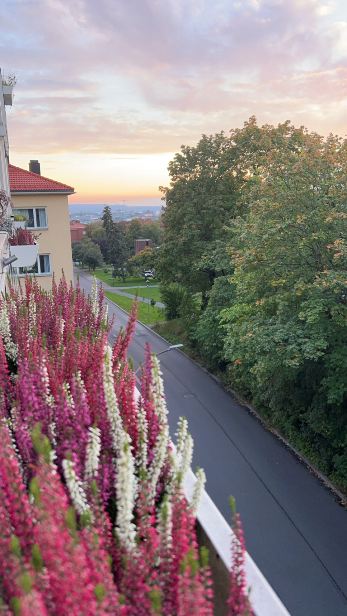 Utsikt fra balkongen sommerstid Galleribilde