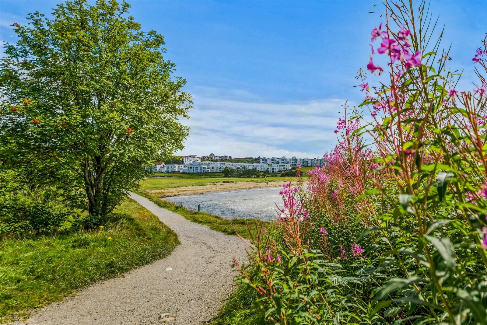 Leiligheten ligger kun 400 meter fra fantastiske Vistestranden Galleribilde