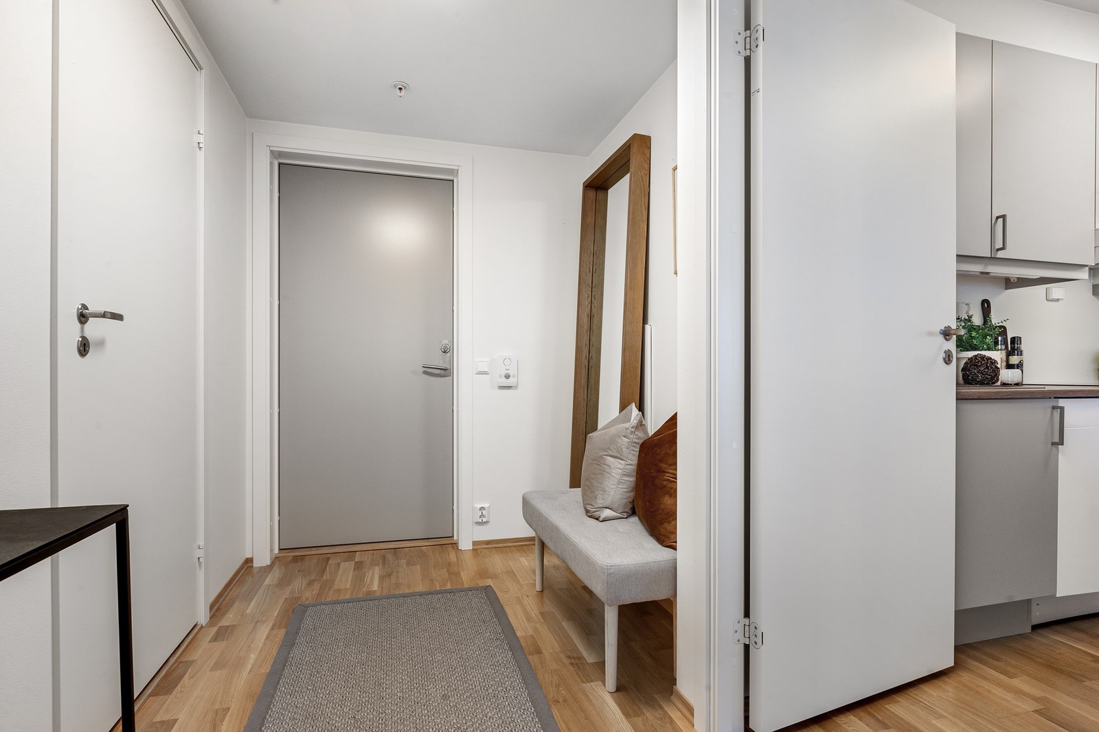 Entré: Porttelefon med døråpner. Plass til garderobeløsning og skoskap. Galleribilde