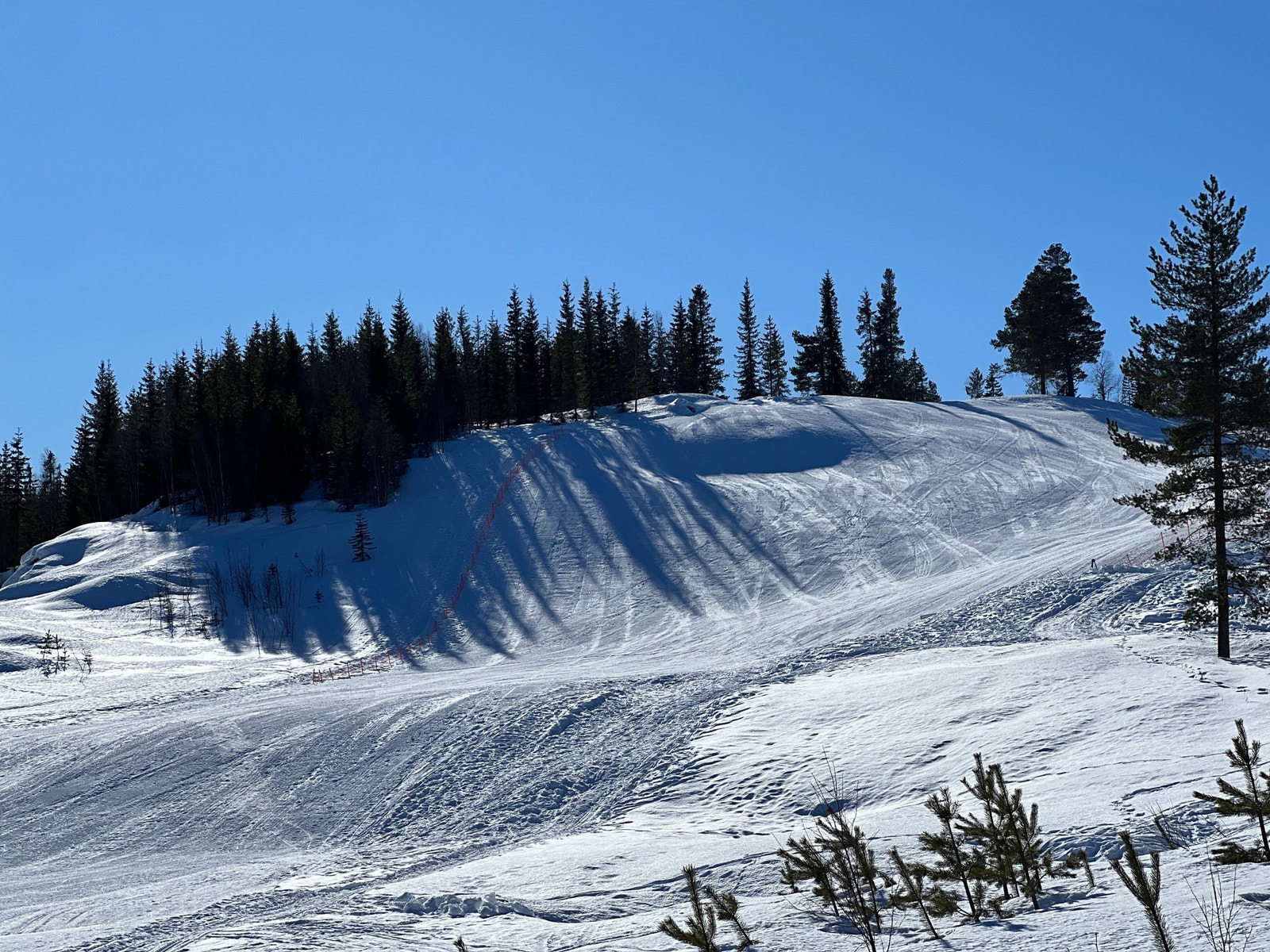 Skibakke i kanten av feltet! Galleribilde