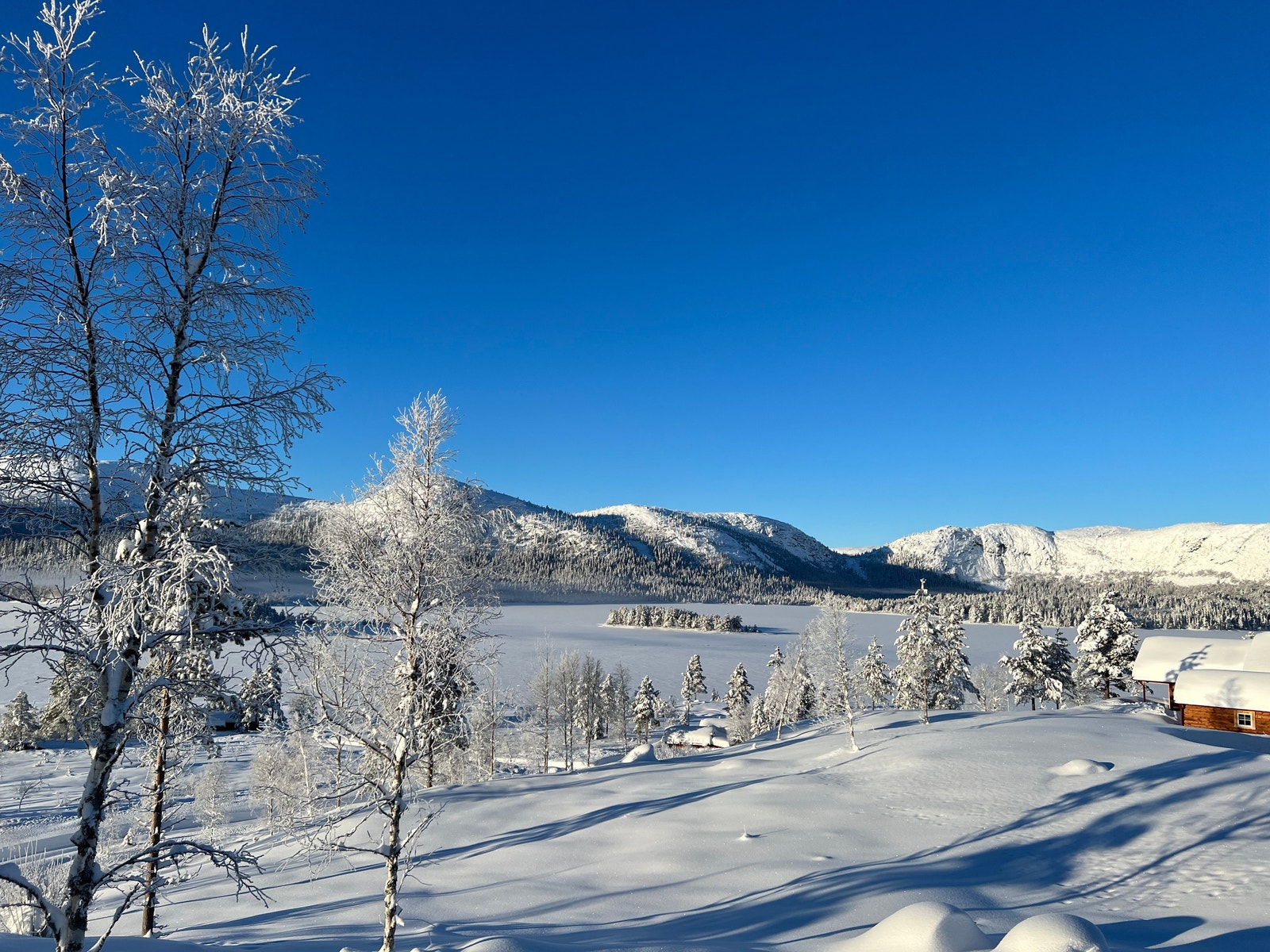 Vinteridyll Galleribilde