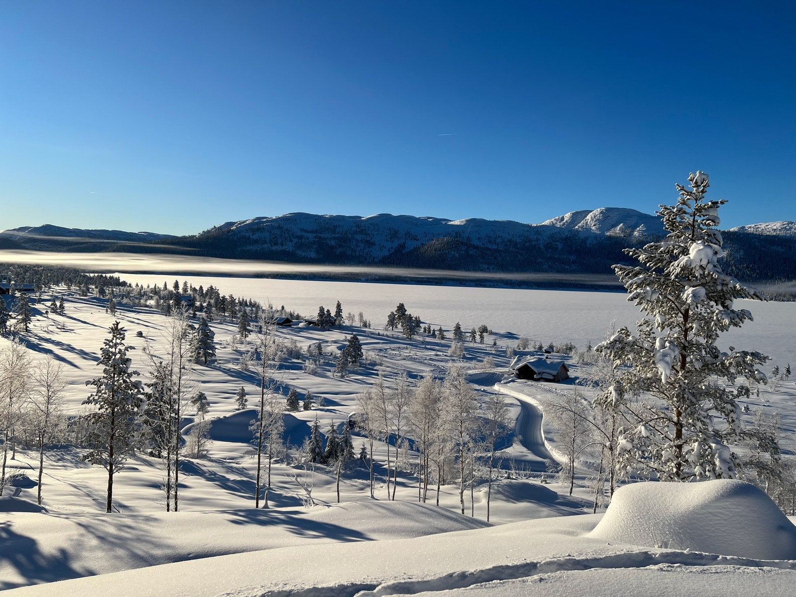 Vinteridyll Galleribilde