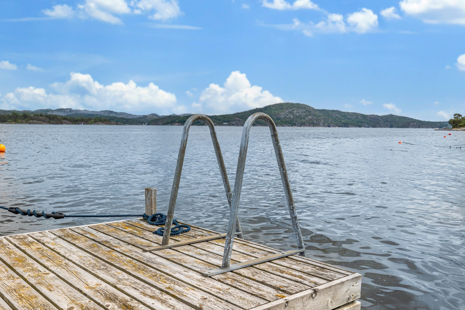 Hopp i havet. Galleribilde