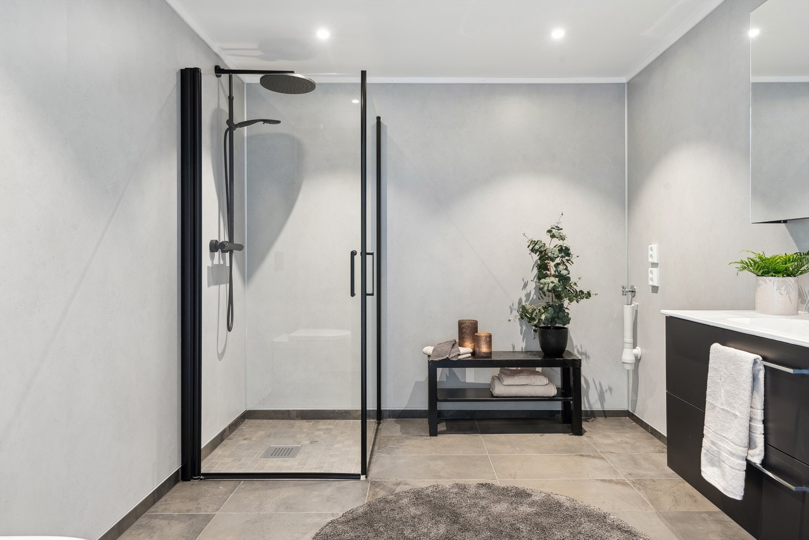 Spotter i tak! Galleribilde