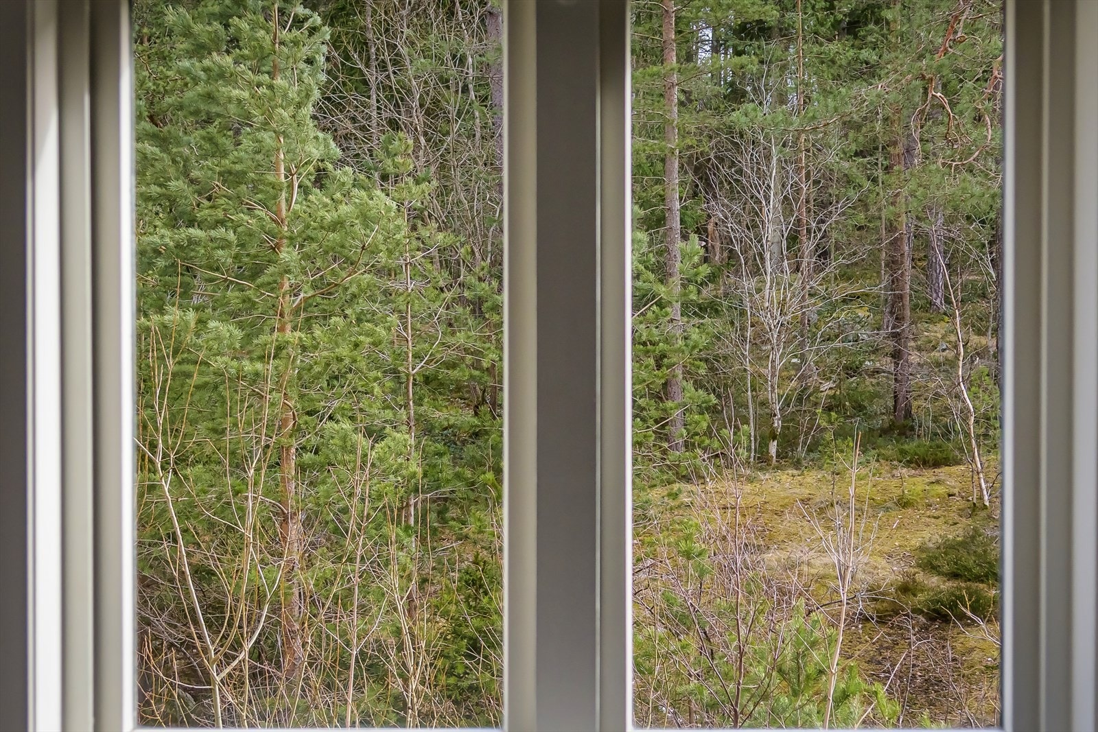 Soverommet vender ut mot naturen. Galleribilde