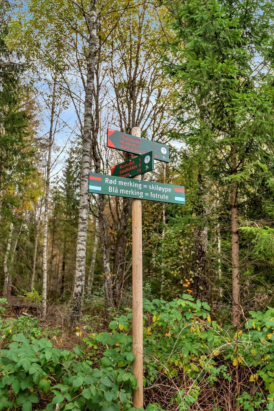 Like ved leiligheten finner du flere turmuligheter under både vinter- og sommertid Galleribilde