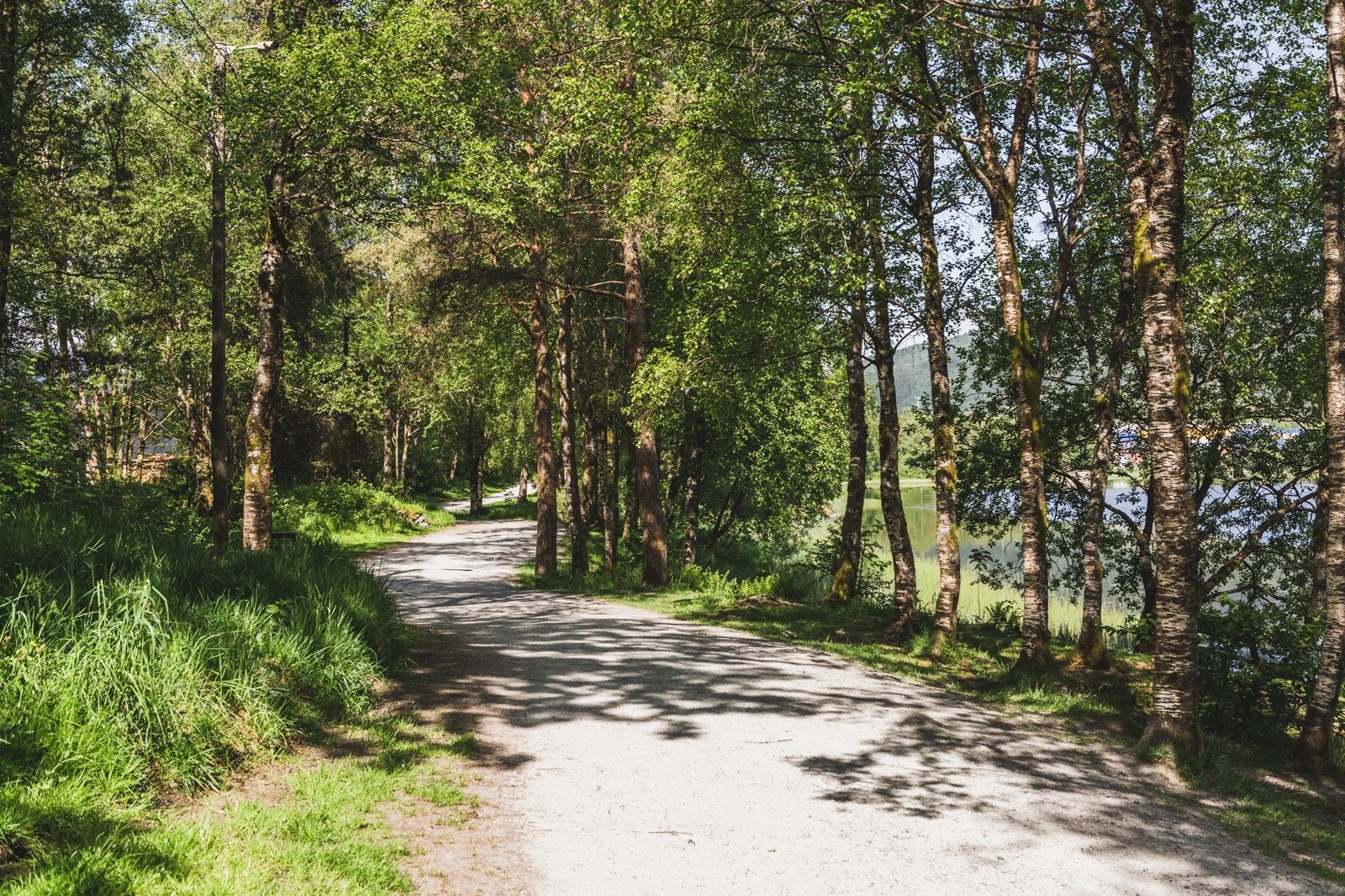 Turmuligheter ved Liavatnet. Galleribilde