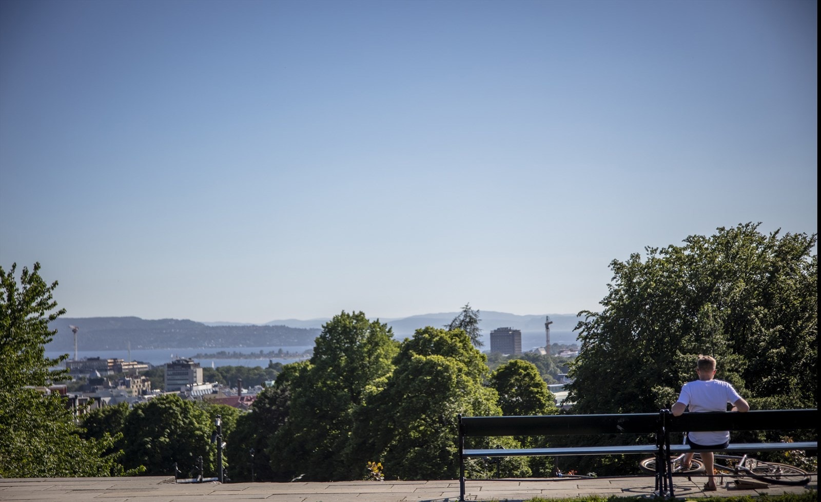 Områdebilde. Galleribilde