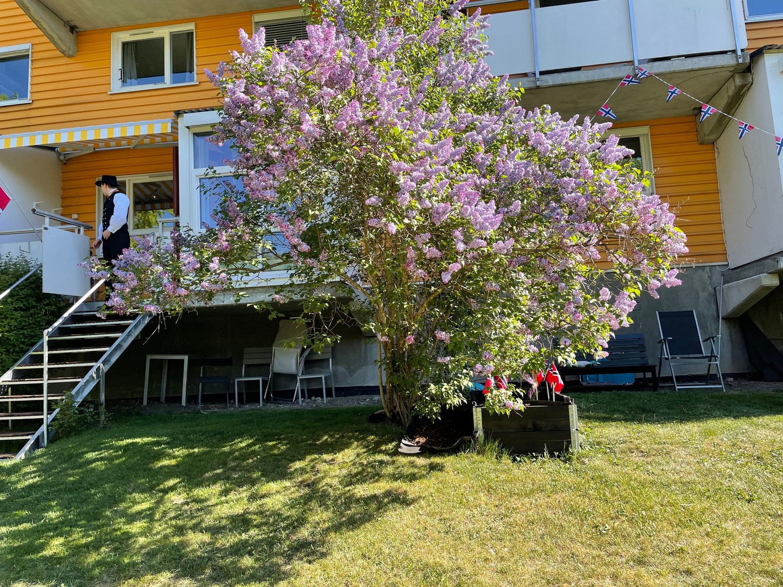 Selgers private sommerbilde.
Buskene i full blomst om våren og sommeren. Galleribilde