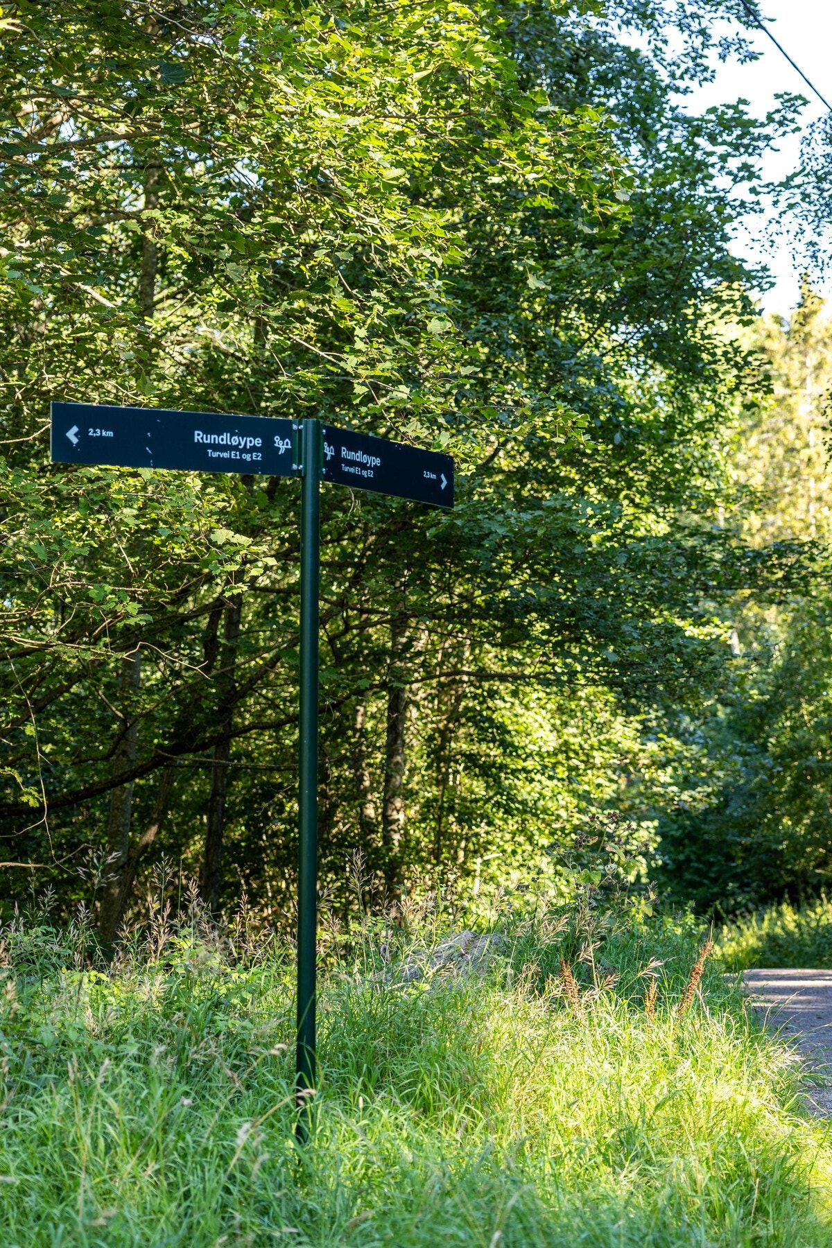 Østmarka ligger i umiddelbar nærhet med fantastiske turmuligheter, enten til fots, på sykkel eller ski. Galleribilde