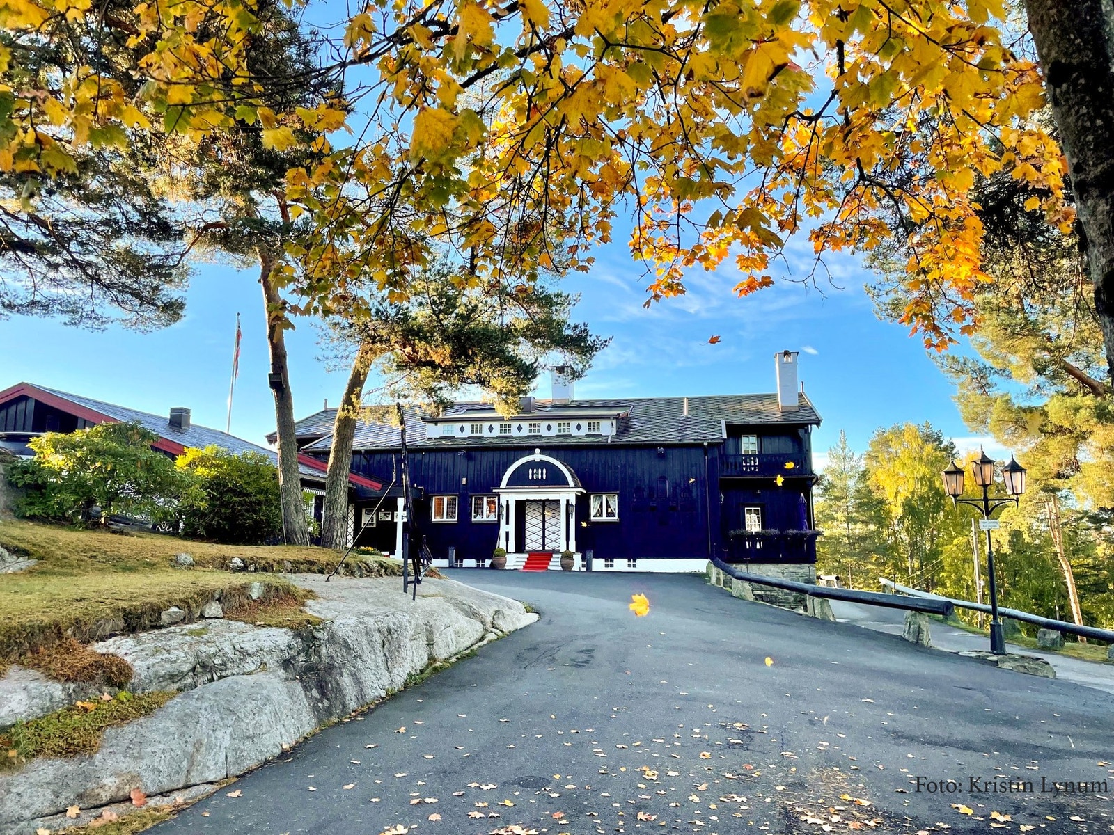 Nærområde. Galleribilde