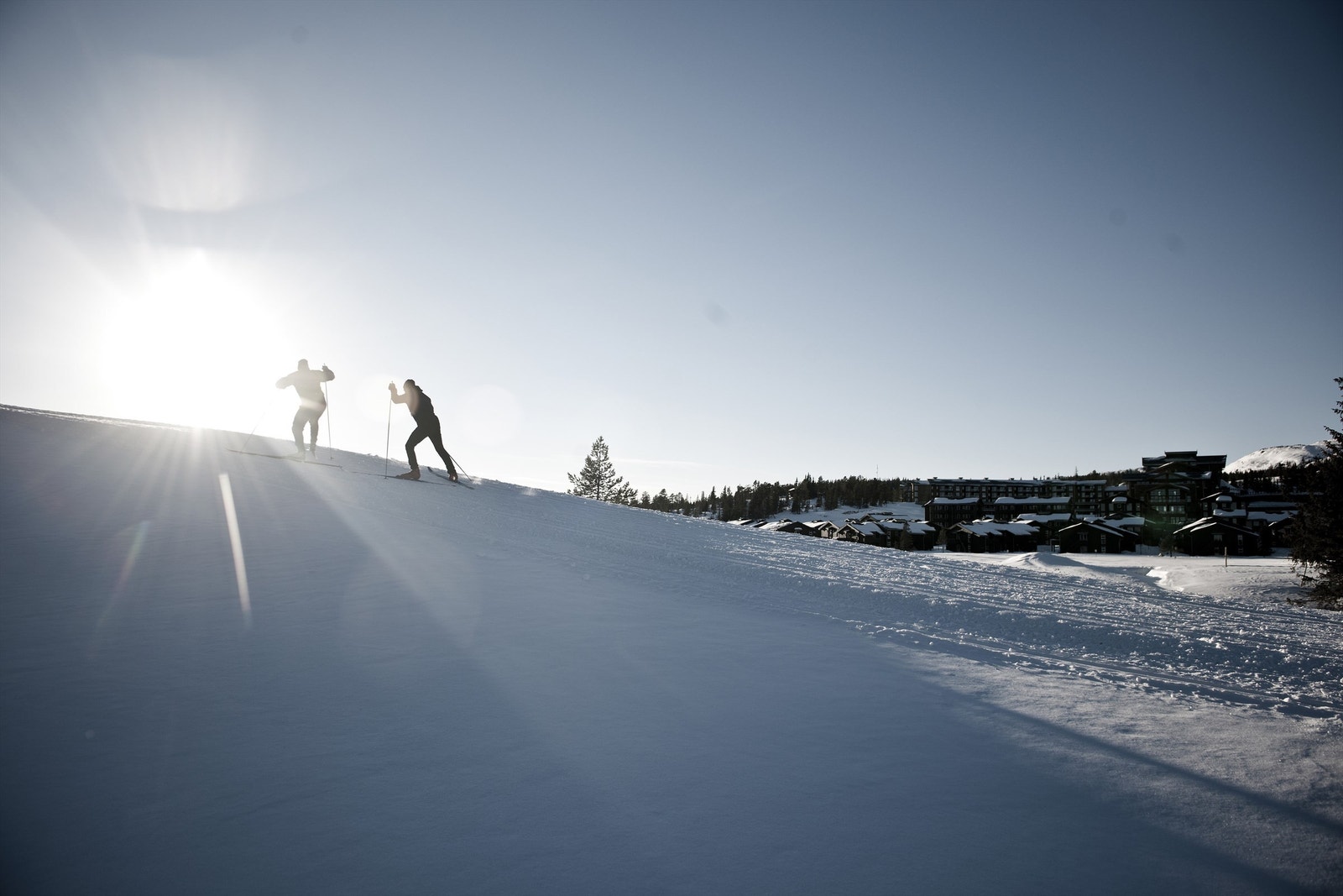 Norefjell er et skieldorado, både for alpint og langrenn. Galleribilde