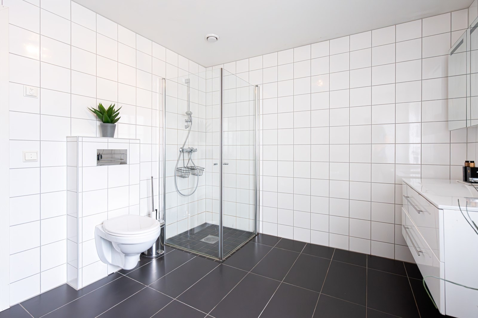 Det er også servant på skuffeinnredning og speil over, samt opplegg til vaskemaskin. Galleribilde