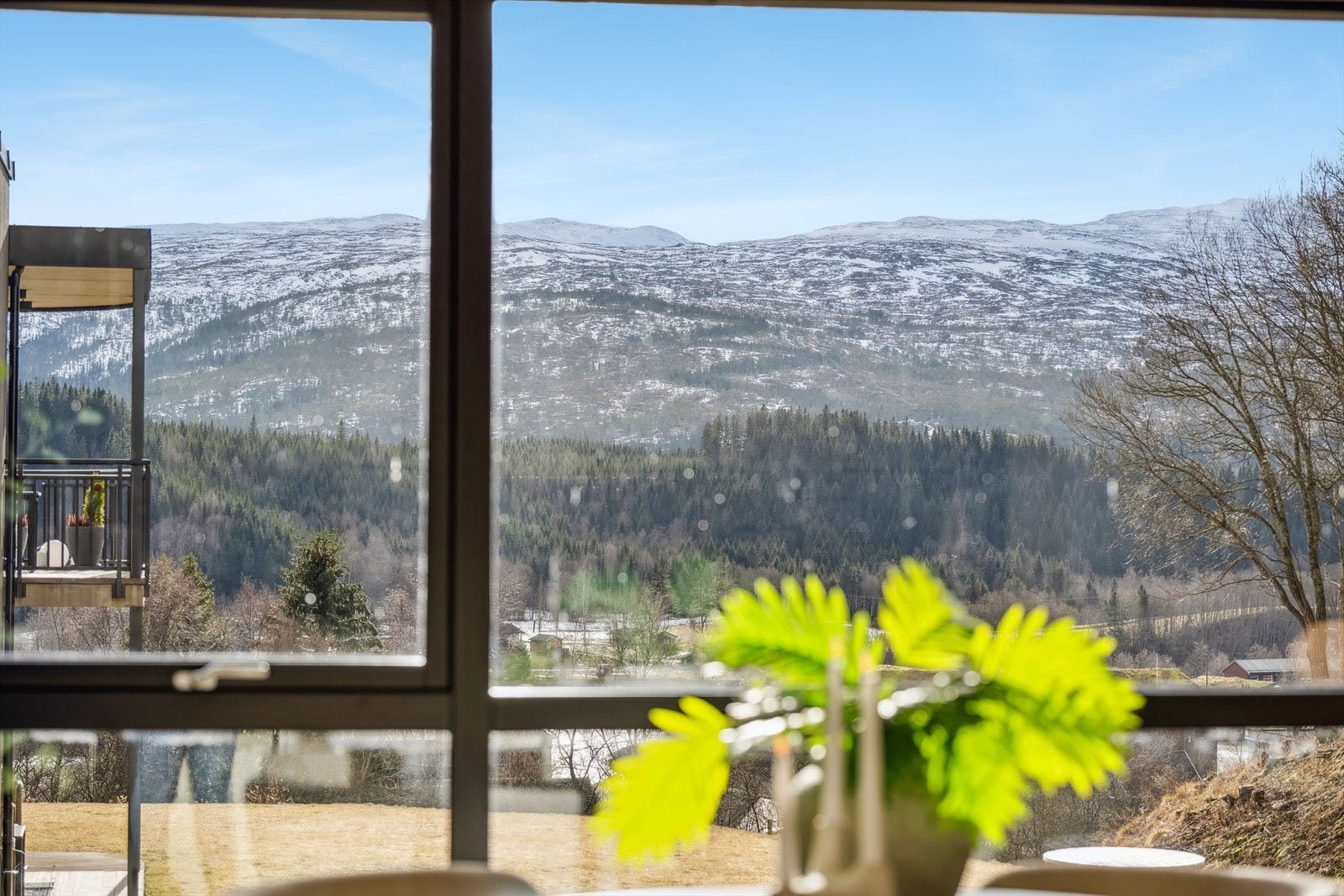 Utsikt mot sentrum og Geitfjellet. Galleribilde