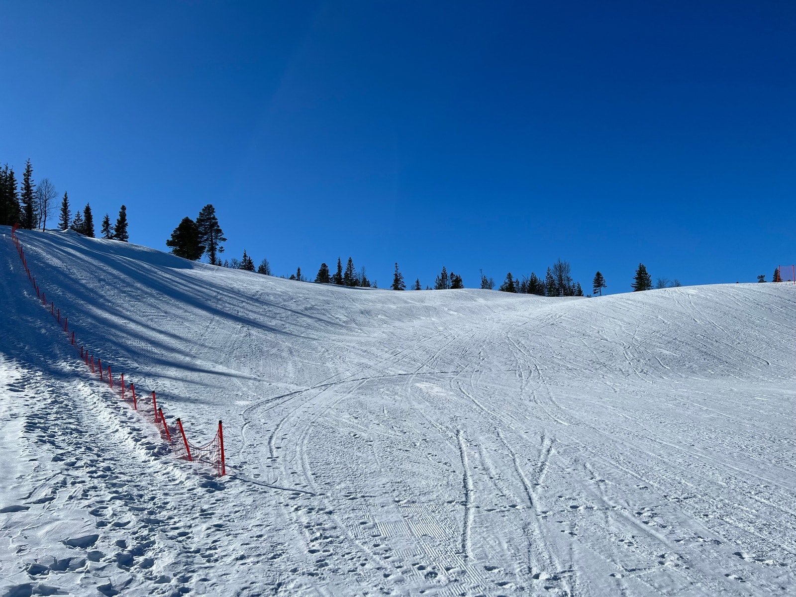 Skibakke i kanten av feltet Galleribilde