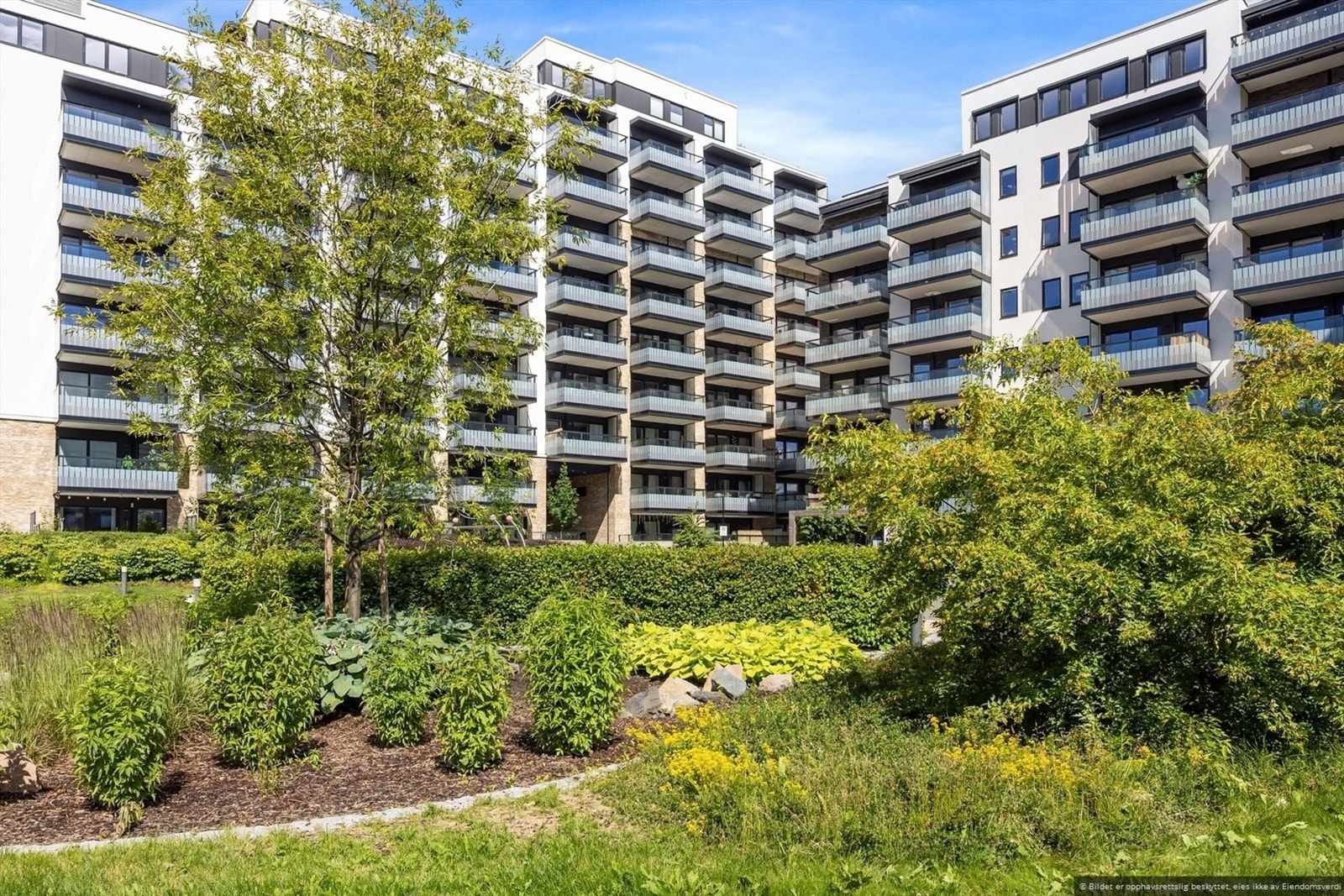 Fellesarealene på sommerstid! Galleribilde