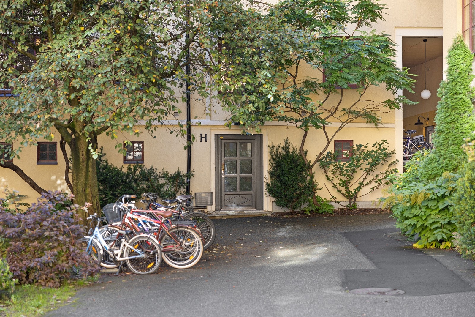 Pent opparbeidet gårdsrom med asfaltert adkomst, plen, beplanting, trær og sittegrupper Galleribilde