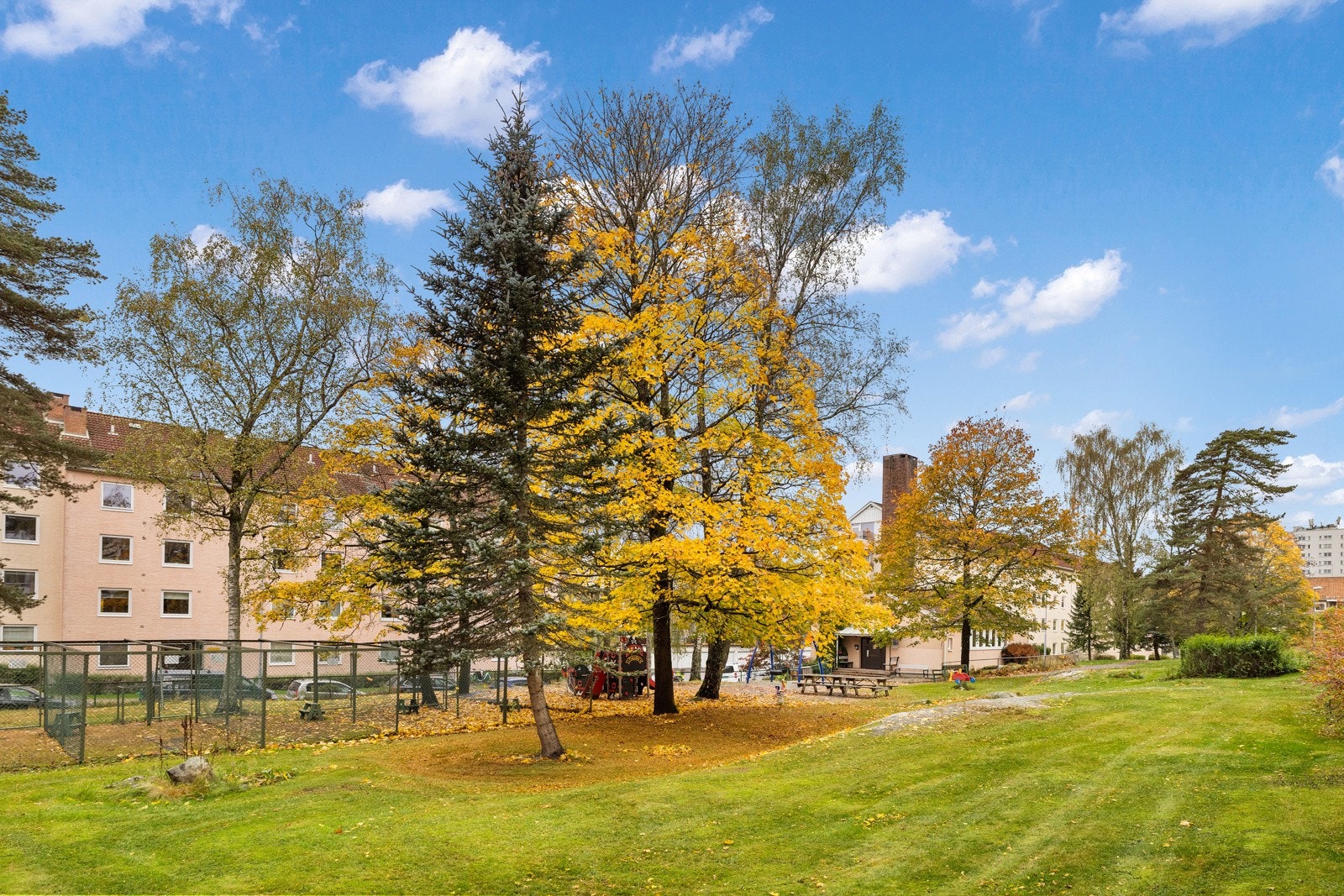 Borettslaget består av store, fine grønne lunger. Galleribilde