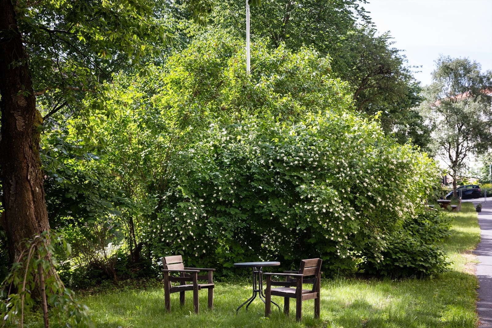 Her finner du også hyggelige sittebenker og stoler, ideelt for beboerne å slappe av og nyte uteområdet. Galleribilde
