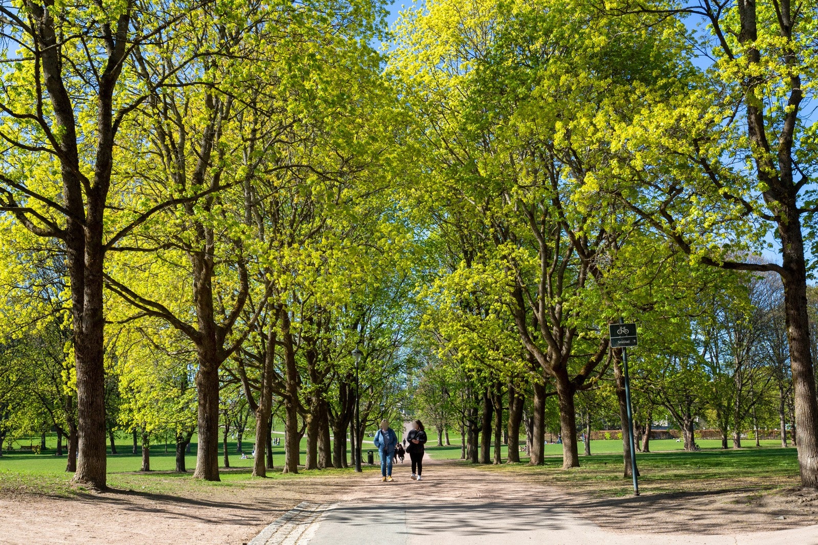 Her kan du skape drømmehjemmet i idylliske omgivelser med kort vei til sentrumsfasiliteter. Galleribilde