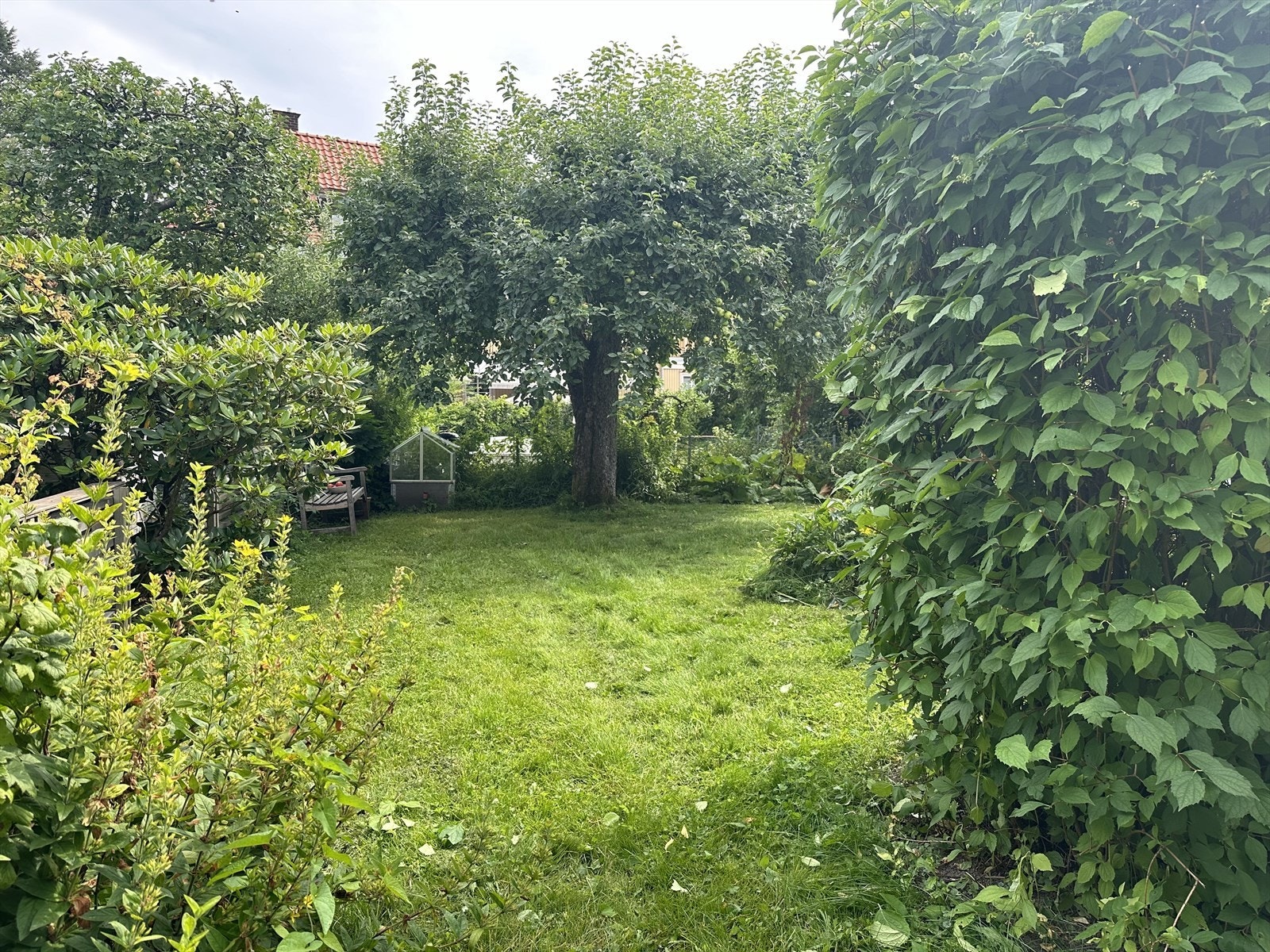 Selgers private bilde av hagen på sommerstid. Galleribilde