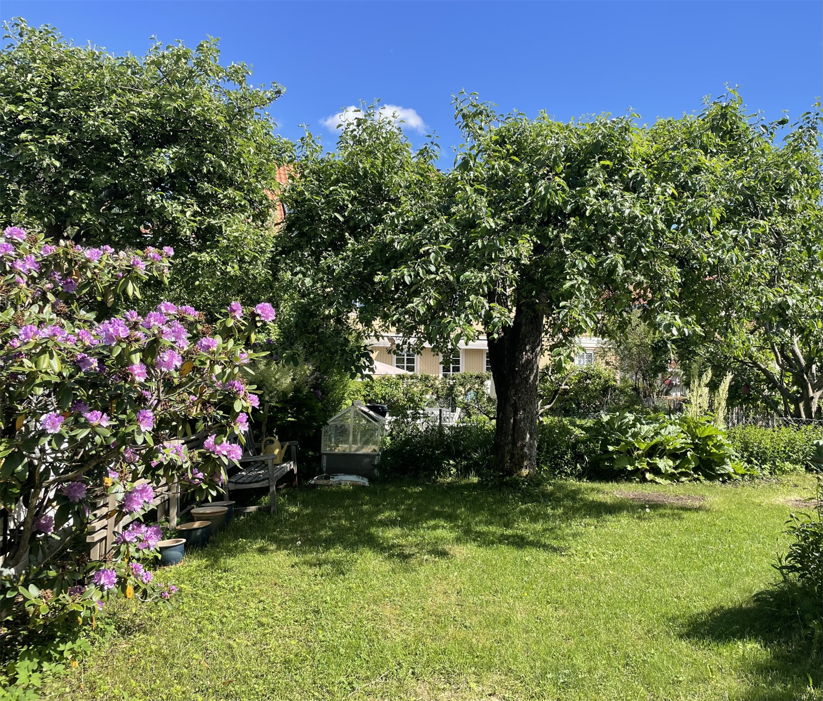 Selgers private bilde av hagen på sommerstid. Galleribilde