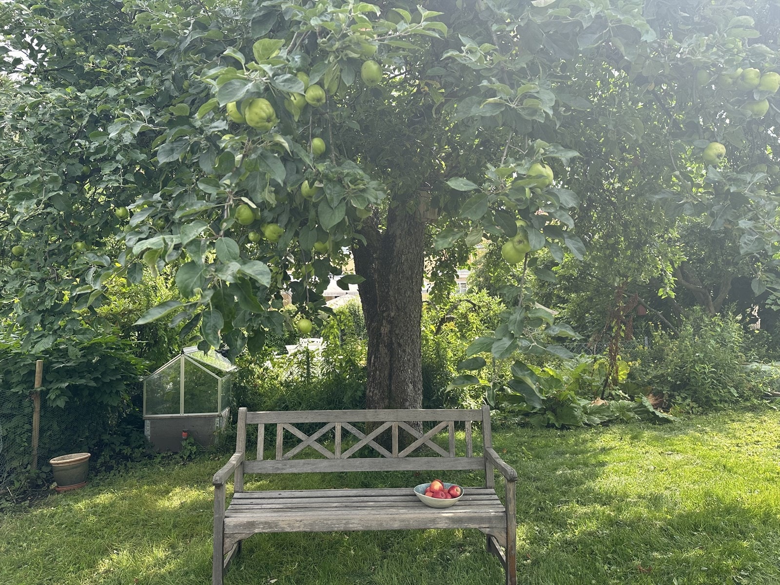 Selgers private bilde av hagen på sommerstid. Galleribilde