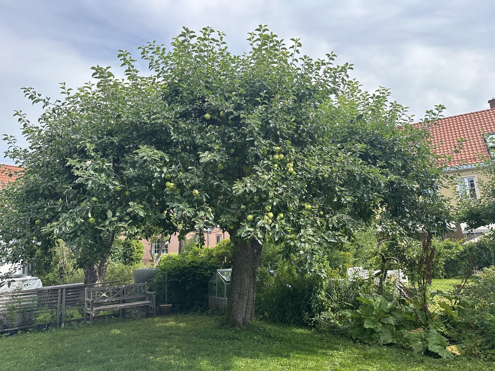 Selgers private bilde av hagen på sommerstid. Galleribilde