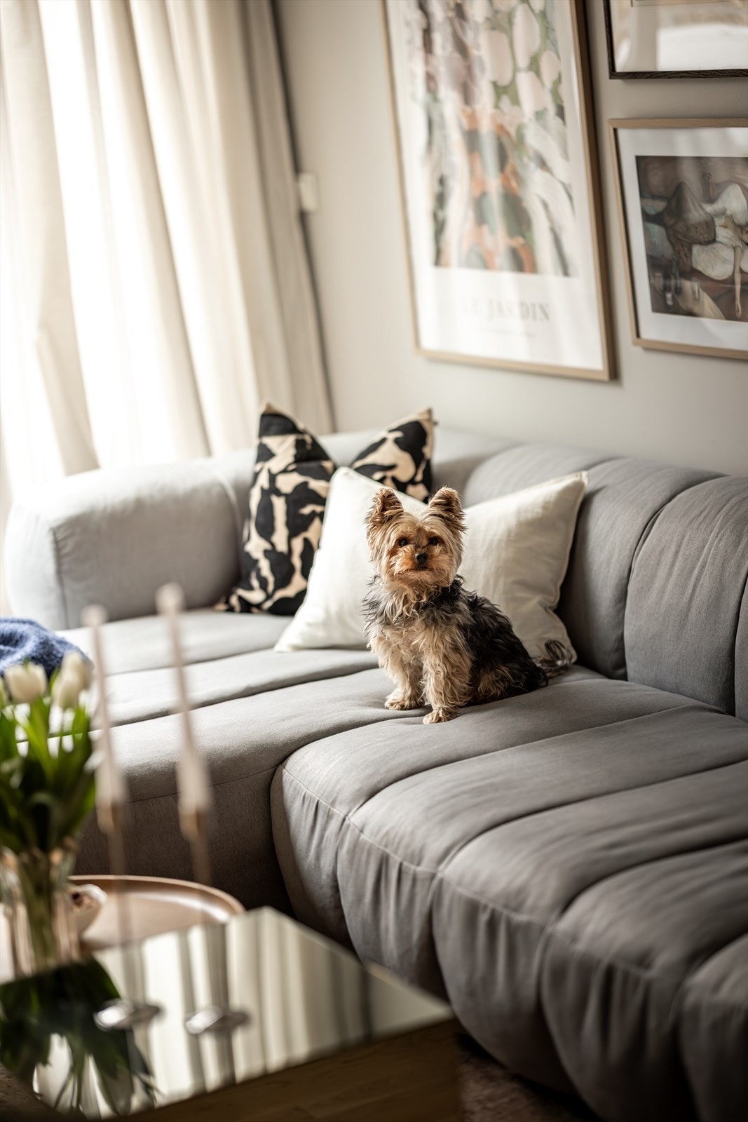 Det er tillatt for dyrehold etter søknad. Galleribilde