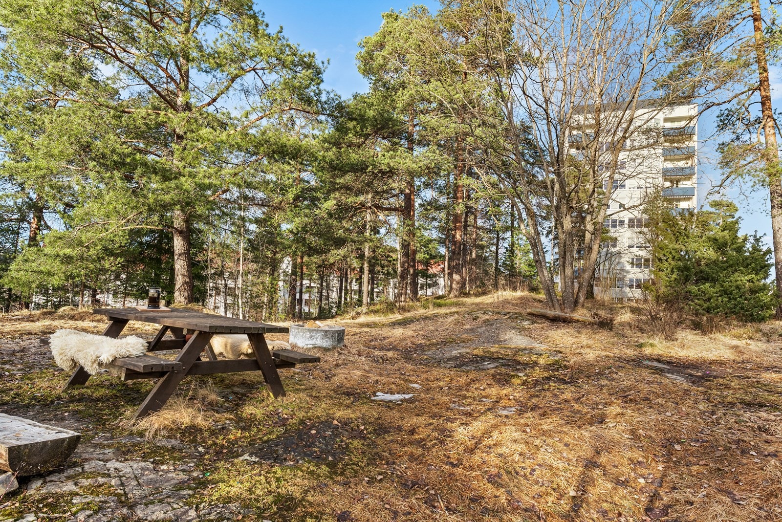 Bakgård med sittergrupper og bålpanne. Galleribilde