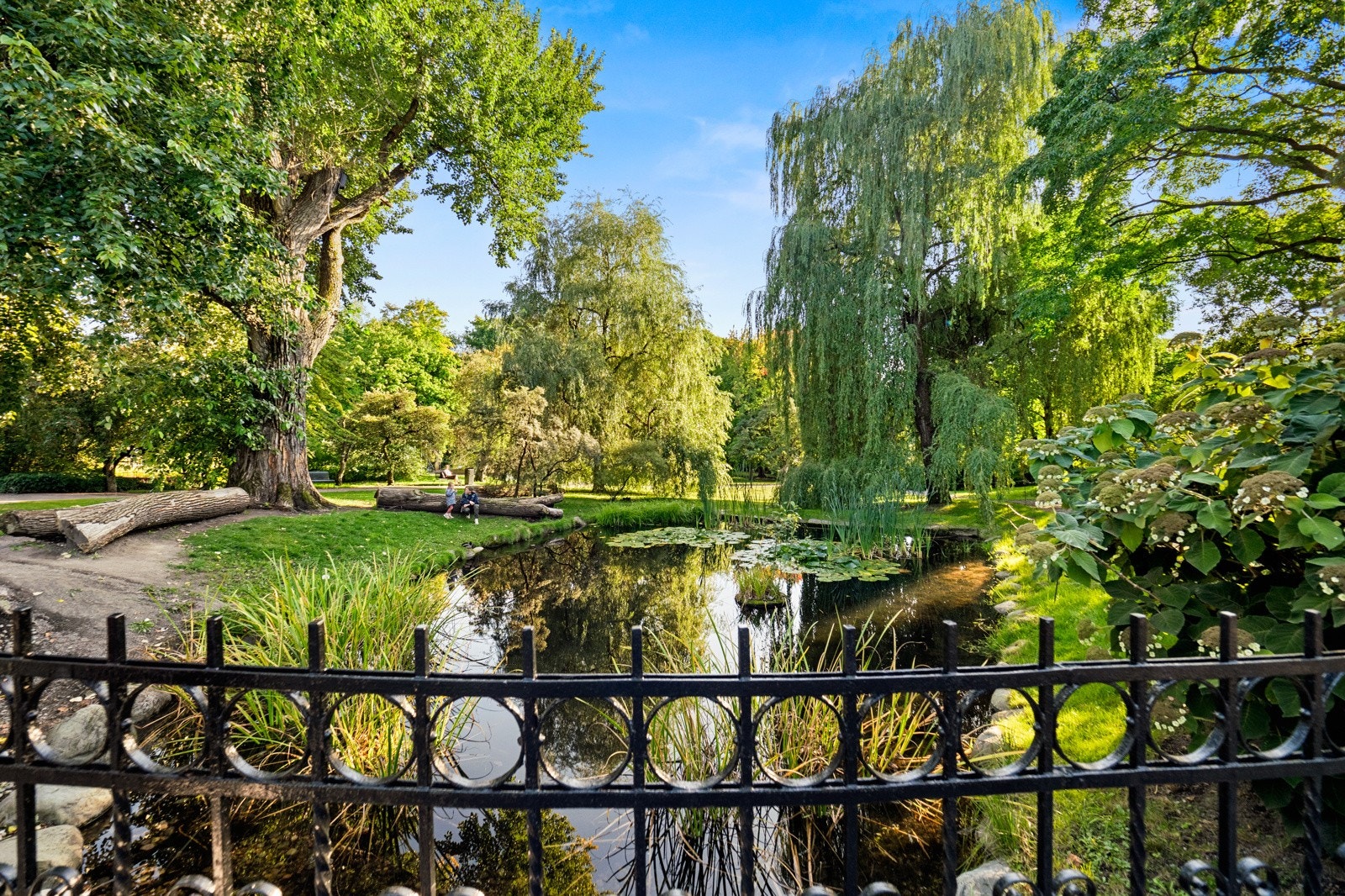 Kort vei til utallige parker i området, her fra botanisk hage. Galleribilde