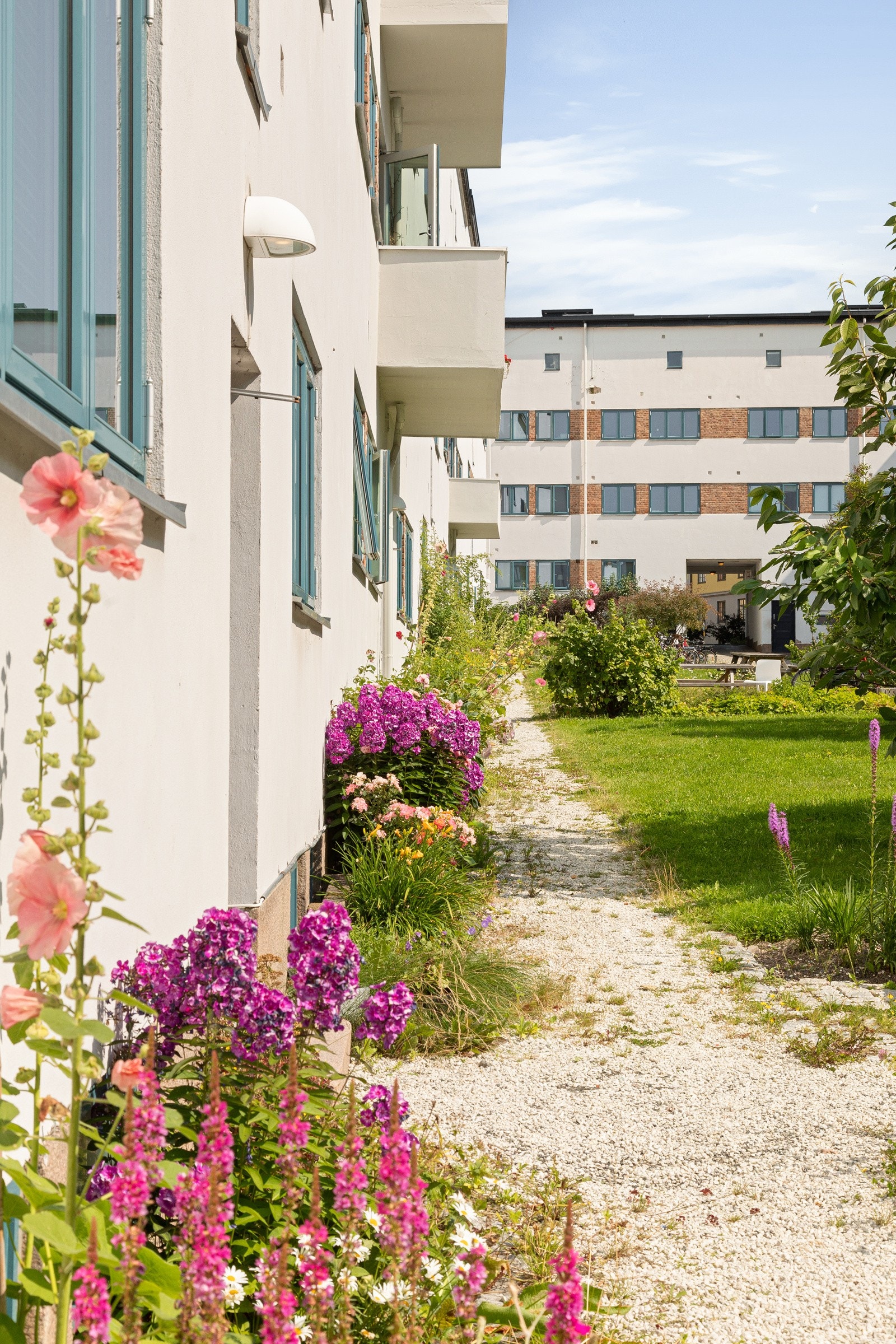 Gårdsrommet er en flott grønn oase som benyttes av beboerne. Galleribilde