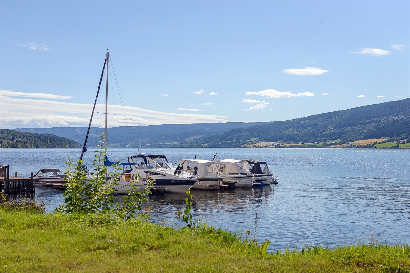 Nærområdet Galleribilde