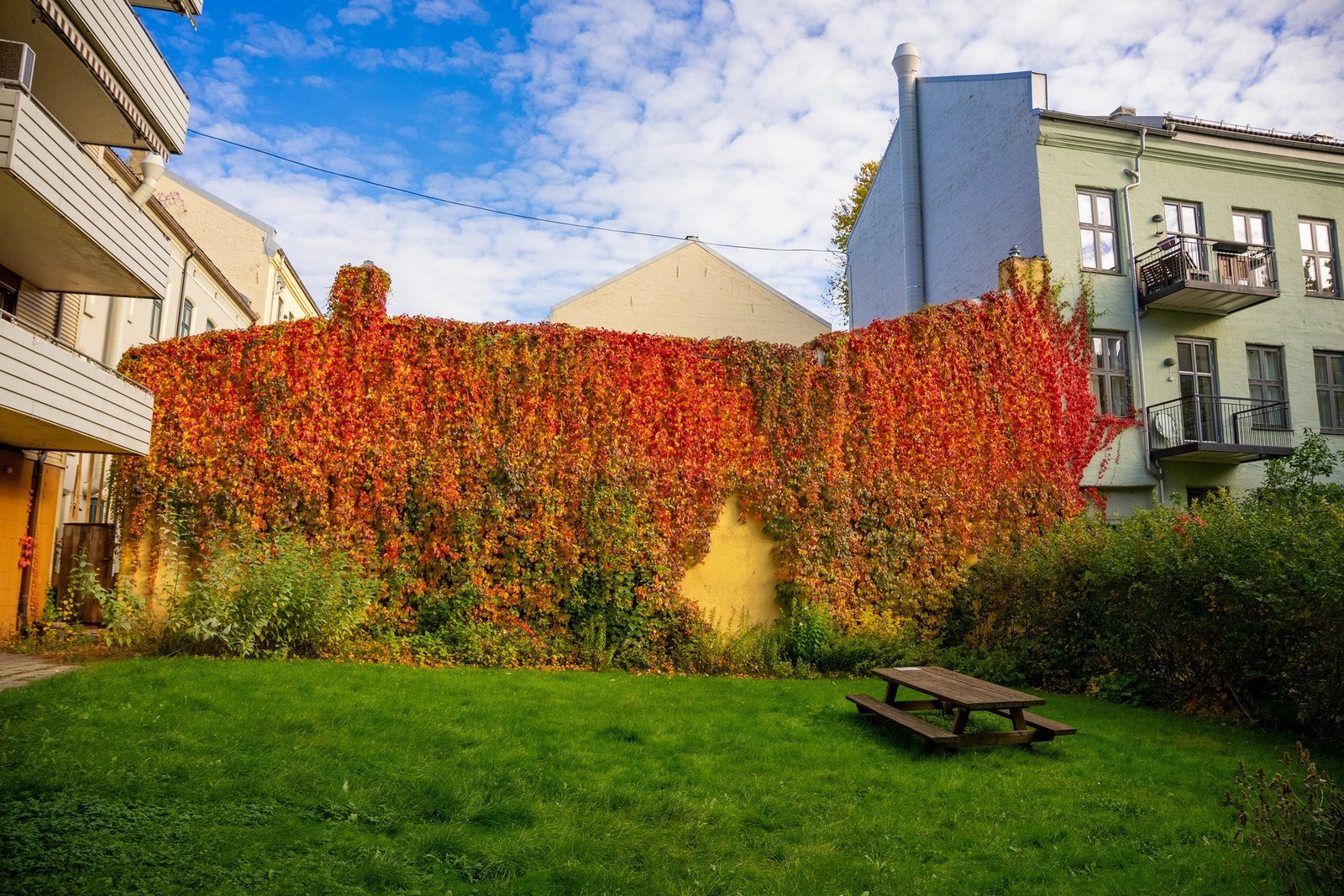 Sameiet har en hyggelig og skjermet bakgård med trivelig grøntareal. Galleribilde