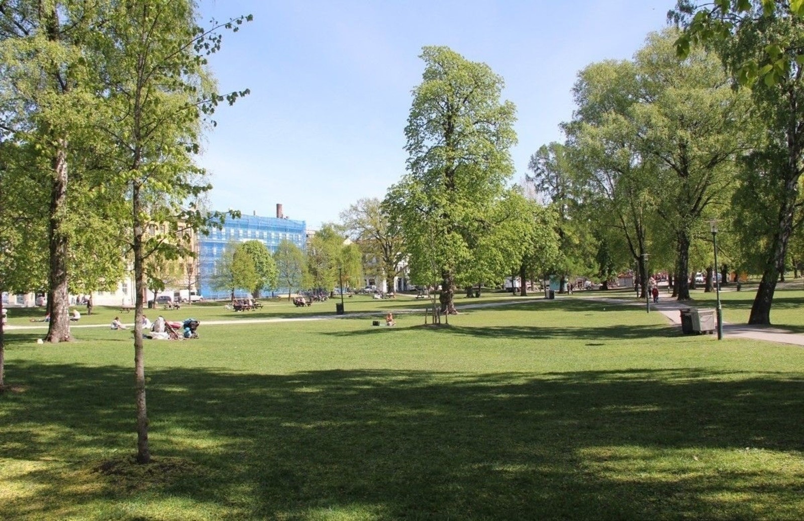 Sofienbergparken er en grønn og vakker park, perfekt for sosialt samvær og avslapning i naturskjønne omgivelser. Galleribilde