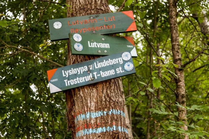 Flotte turmuligheter i marka Galleribilde