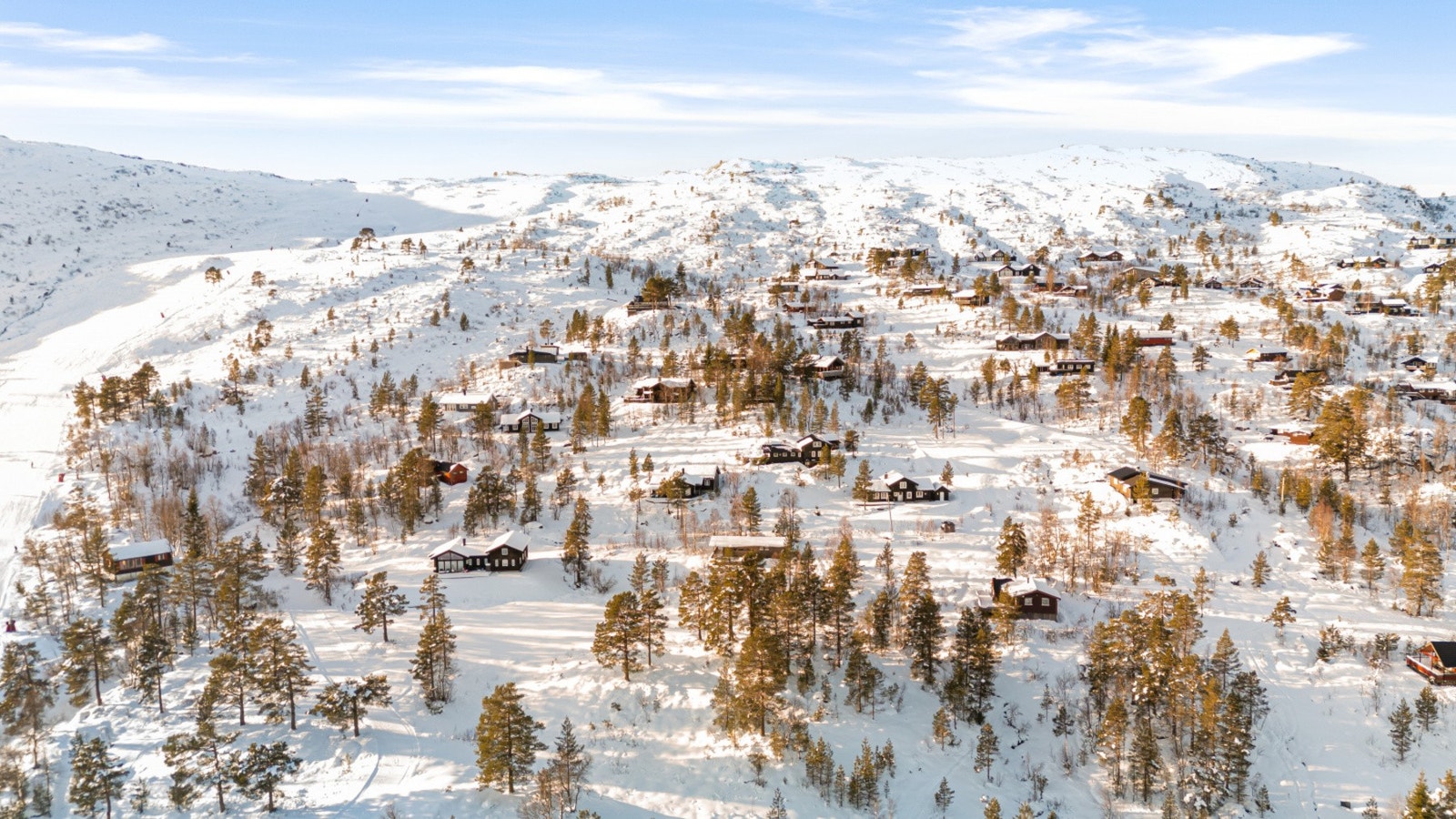 Spenn på deg skiene å tråkk opp i skitrekket. Galleribilde