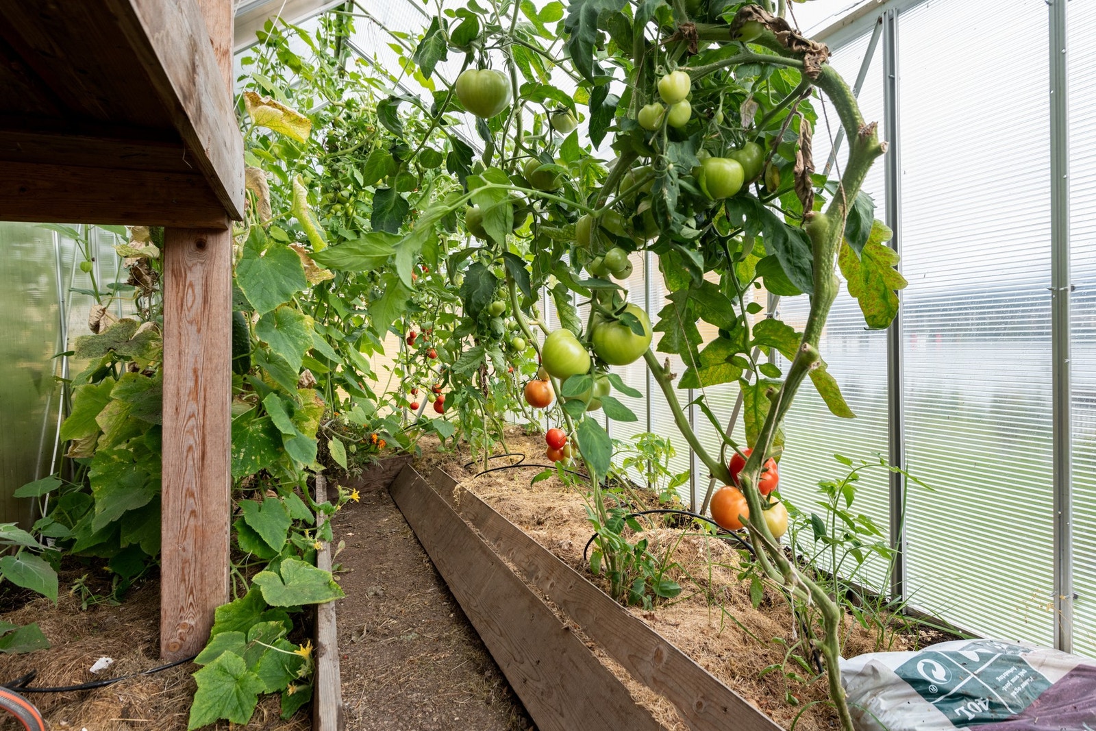 Her kan man dyrke gode grønnsaker. Galleribilde