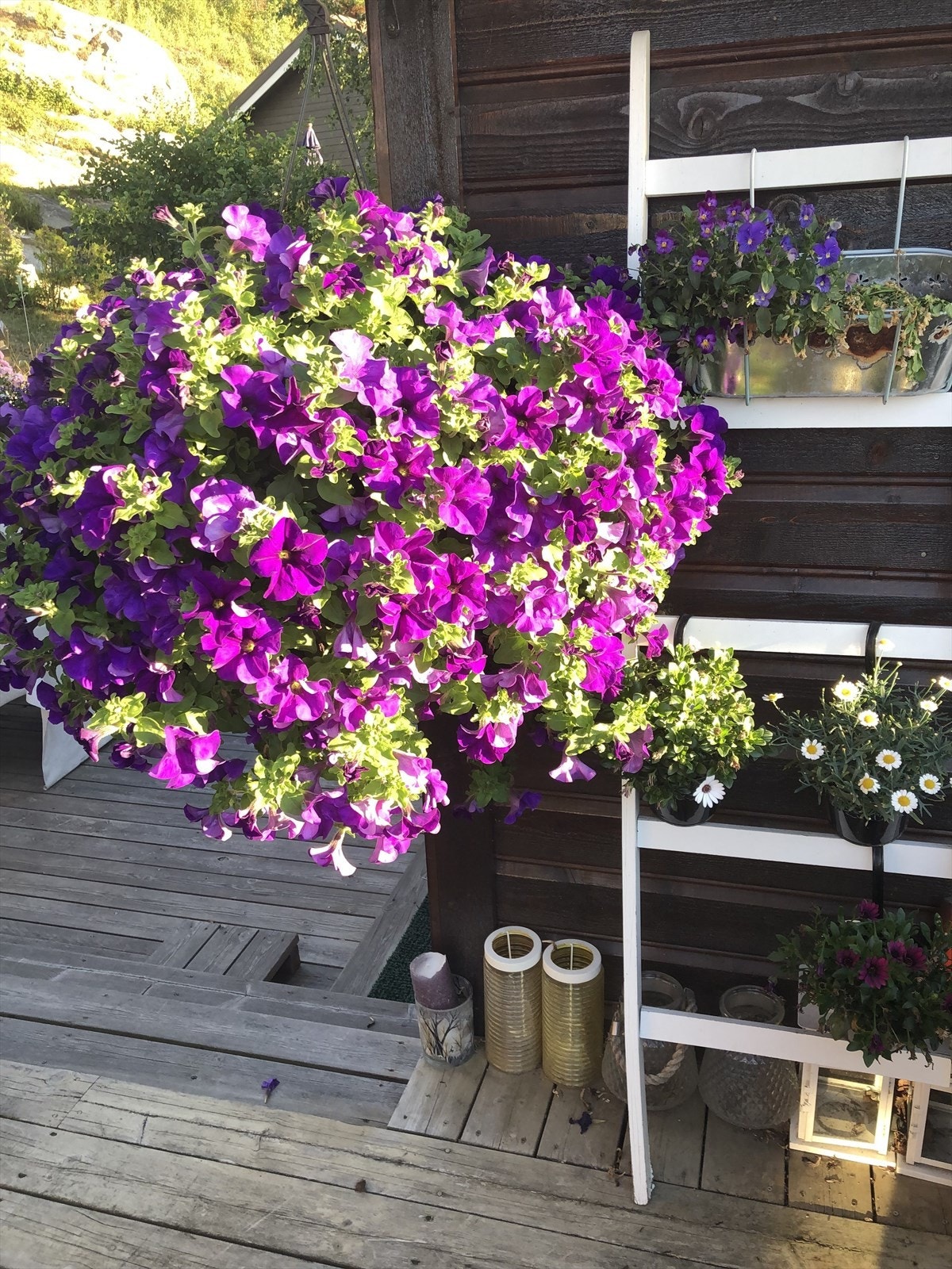 Privat bilde Galleribilde