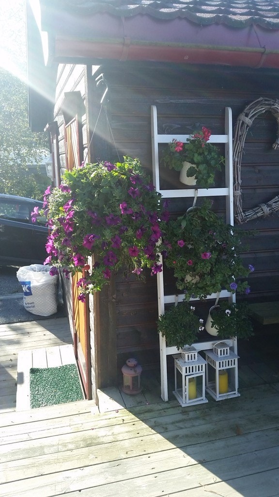 Privat bilde Galleribilde