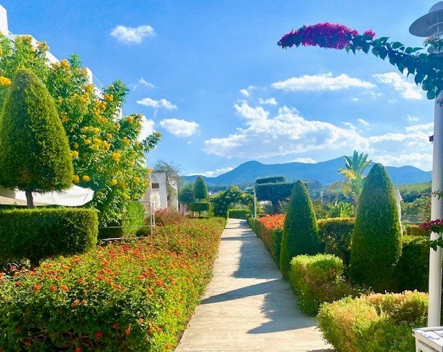 Fra hagen Galleribilde