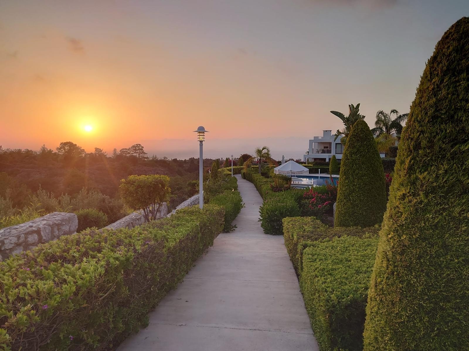 Kveldstur i hagen Galleribilde