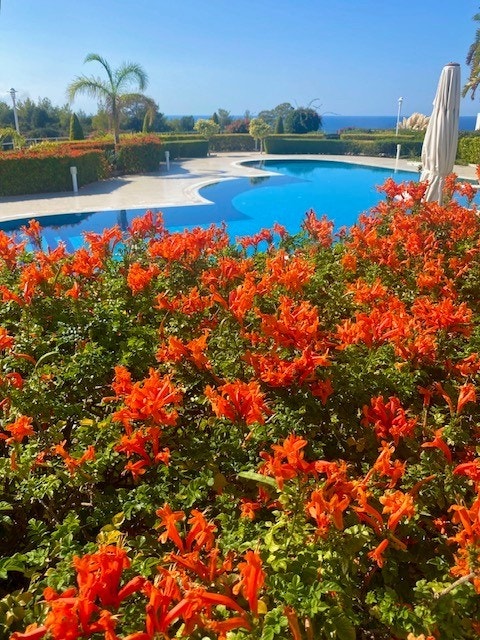 hagen utenfor leiligheten Galleribilde