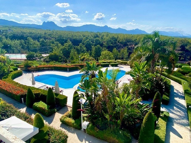 Utsikt fra stua Galleribilde