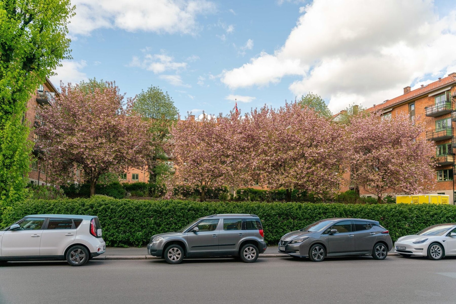 Aksjelaget ligger fint til med frodige grøntarealer. Galleribilde