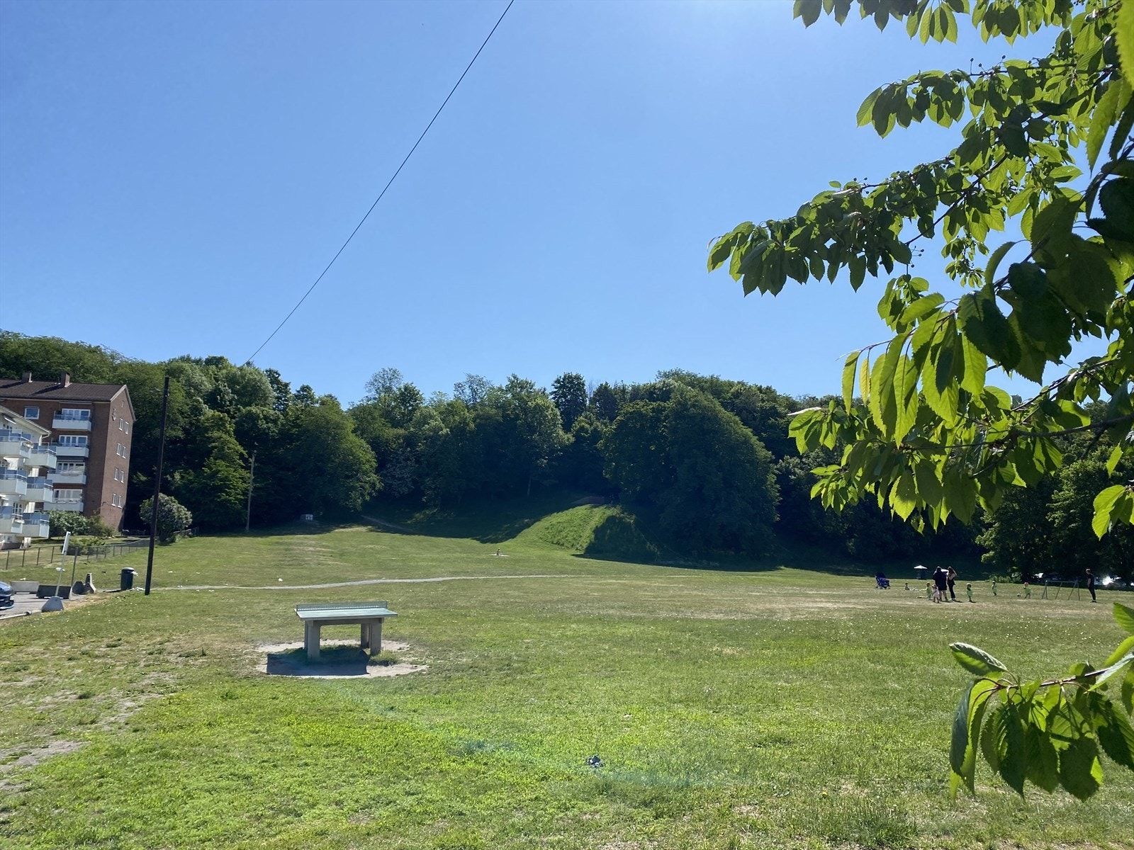 Det er mange flotte grøntområder i nærheten som bla. Ola Narr, Sofienbergparken, Tøyenparken og Torshovdalen. Det avholdes også flere festivaler i nærområde som Øyafestivalen og Piknik i Parken. Galleribilde