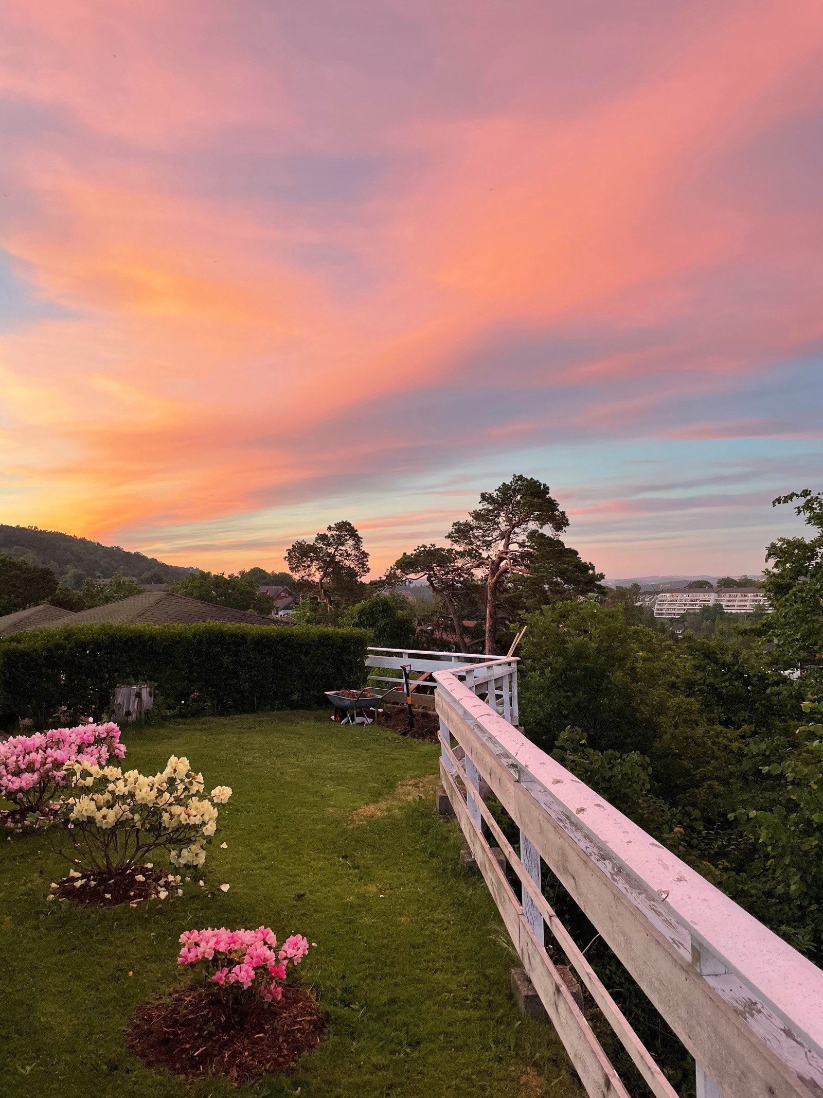 Sommerbilde tatt av selger Galleribilde